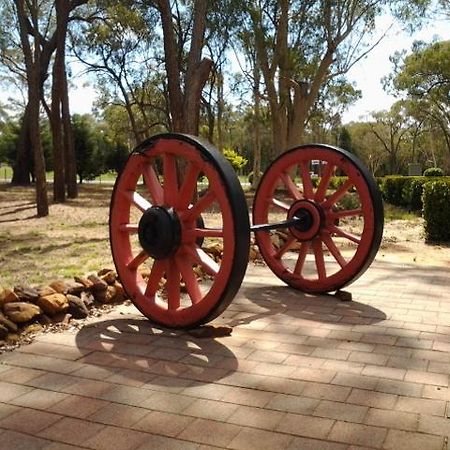 Wagon Wheel Motel & Units Coonabarabran Exterior photo